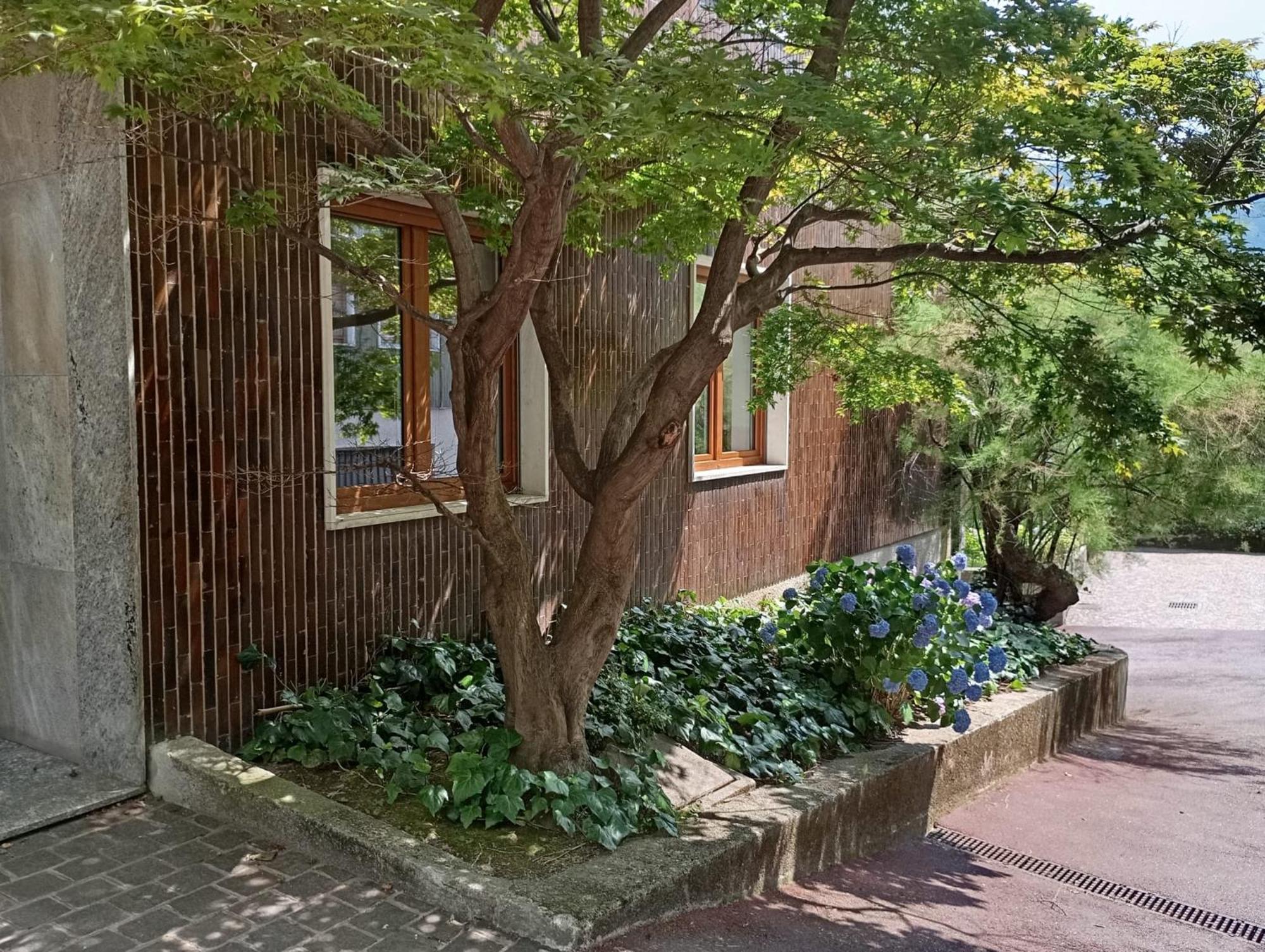 Casa Brumani โกโม ภายนอก รูปภาพ